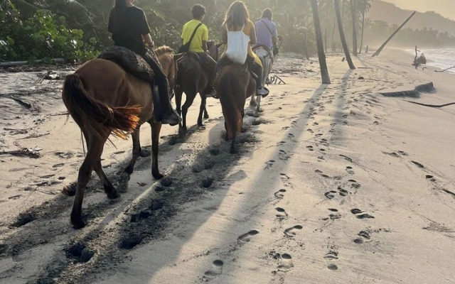 Tree of Life - Hostel