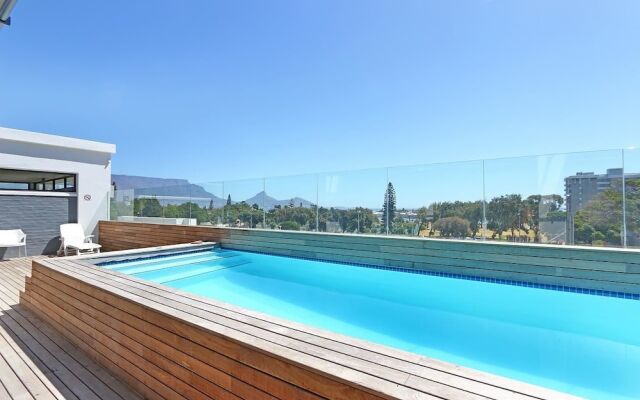 Key West - Driftwood