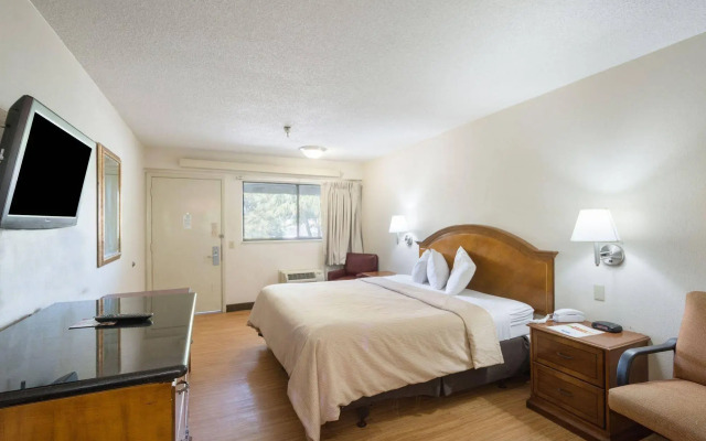 Red Roof Inn Tampa Busch