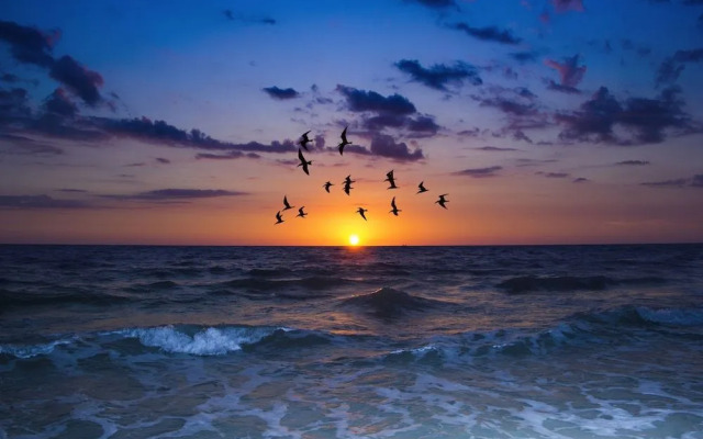 Vista Verde North Townhouse 21