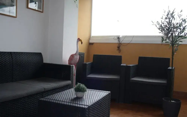 Apiro 11 Apartment