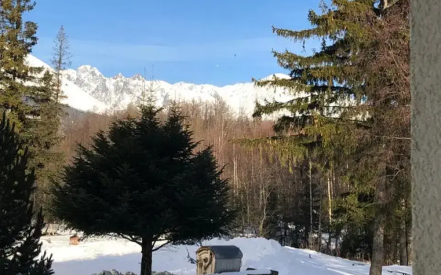 Mountain View Apartment