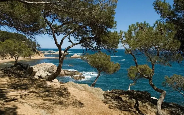 Tres Pins 1 in Lloret de Mar