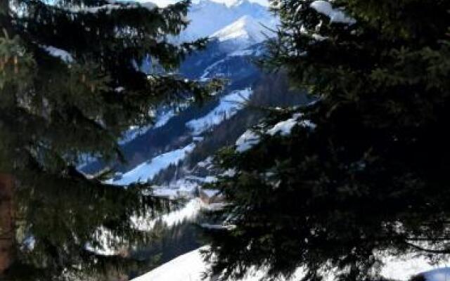 Apart Sesselebenerhof - Renate Konrath