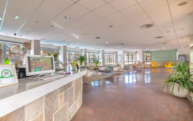 Hotel LIVVO Koala Garden