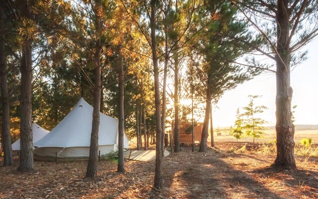 Cherry Glamping