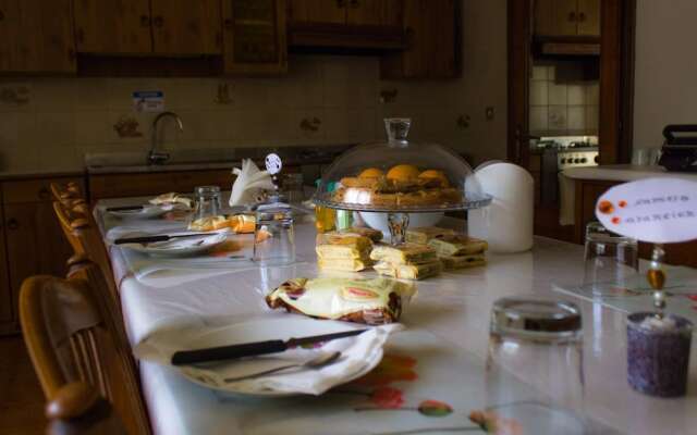 Airport Venice Diego 2