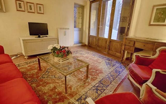 Rinidia Siena Centro