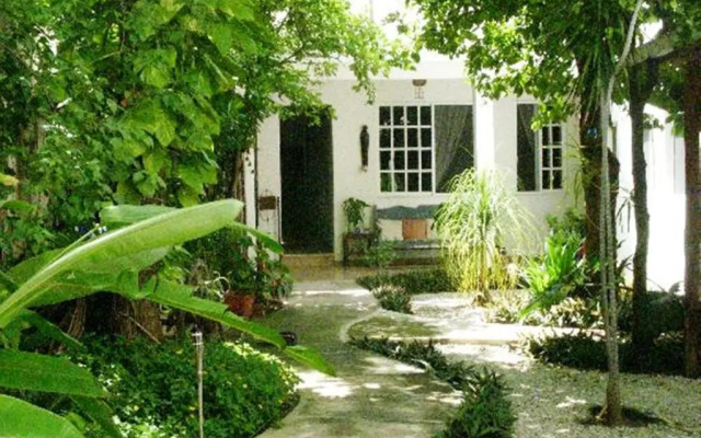 Villa Escondida B&B Cozumel Downtown