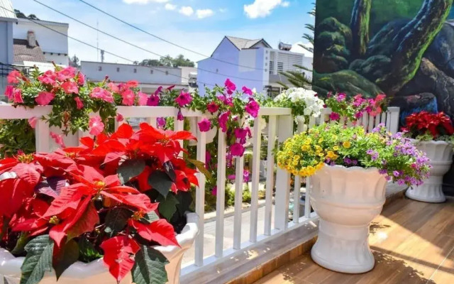 7s Hotel Duy Vinh Da Lat