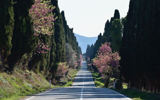 La Casa Toscana - Apt Castello 7 km by the sea