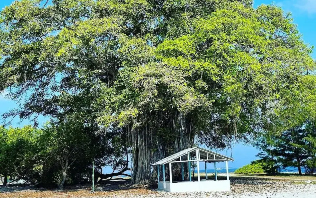 Bon Abri maldives