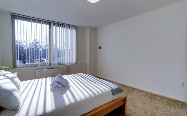 Spacious 2BR Apartment in Crystal City
