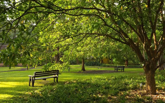 Rivertrees Country Inn