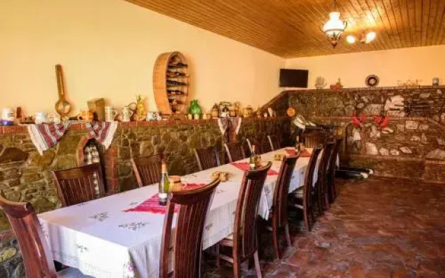 Pensiunea Darian & David