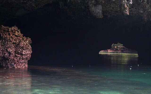 Tarzans Beach Resort