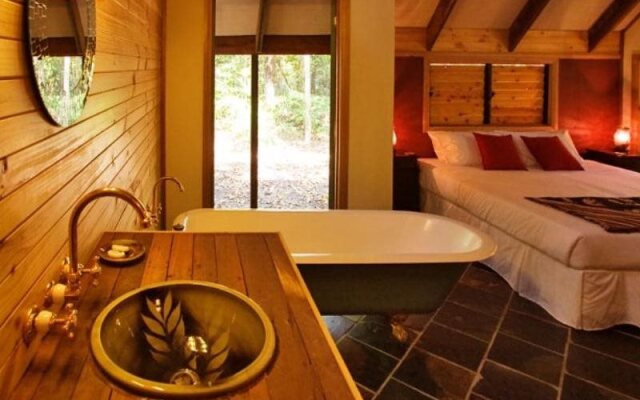 Rainforest Ranch