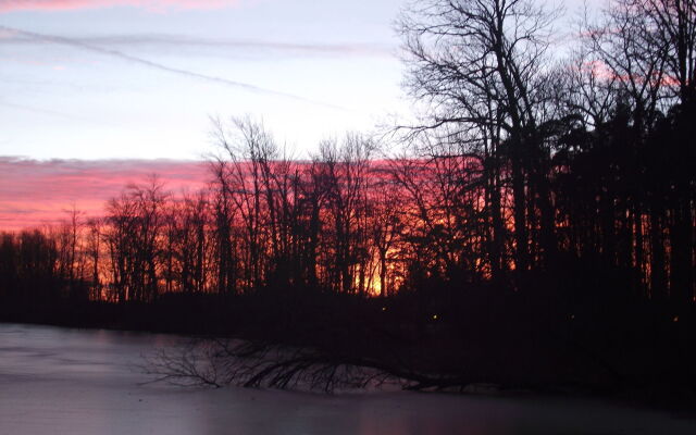 Forest Motel & Woodland Retreat