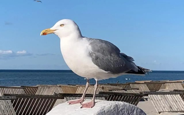 FeWo Lust auf Laboe