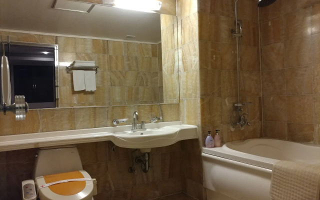Incheon Airport Hotel June