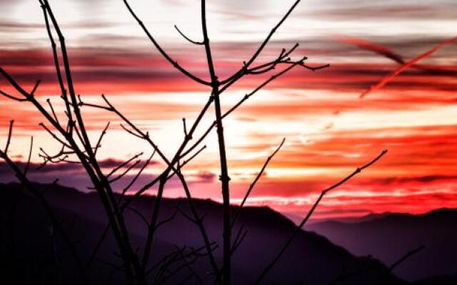 Viandanti, Artisti e Sognatori