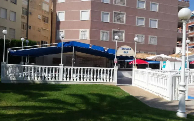 Palmeral de Torrevieja