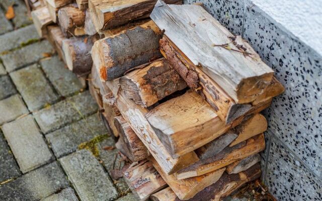 Cozy Cottage in Langenbach Thuringia near Lake