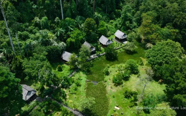 Sepilok Nature Resort