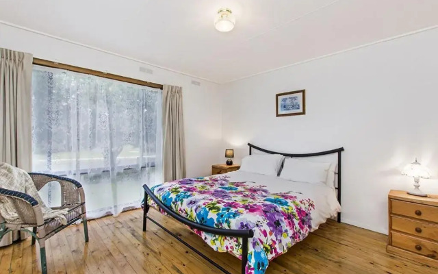 Bindi - Pet Friendly