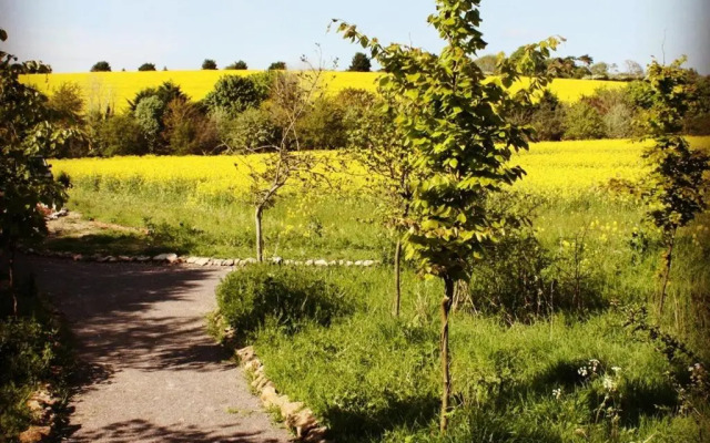 The Chilterns View