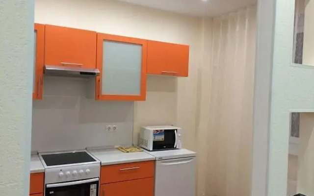Apartment on Geologorazvedchikov 44a