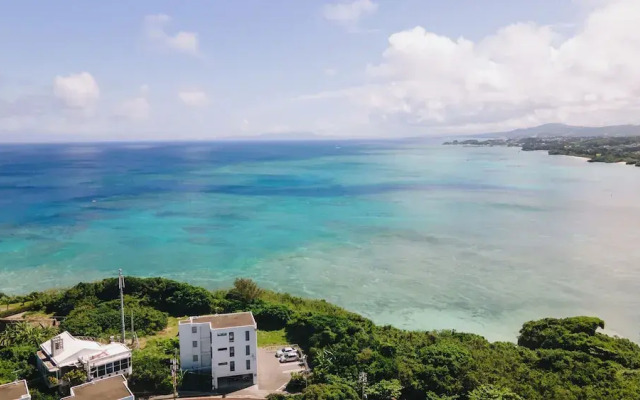 Blue Steak Wonder Senaha