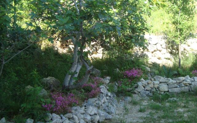 Apartment Marijan - Rtina