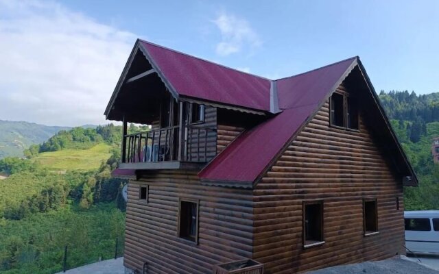 Diamond Tree House