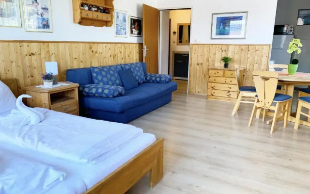 Family-friendly Deluxe Studio Apartment-TOP18