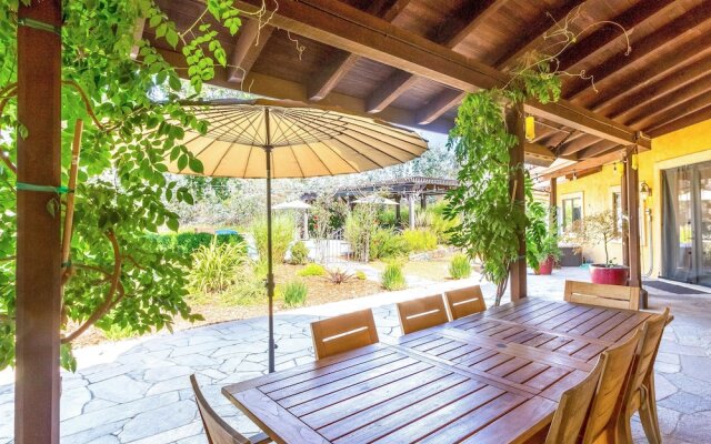 Gracious Living, Pool, and Privacy in Wine Country, Sonoma by RedAwnin