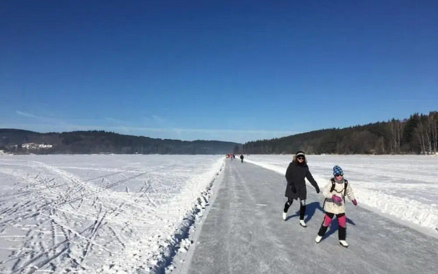 JBX Resort Apartments Lipno