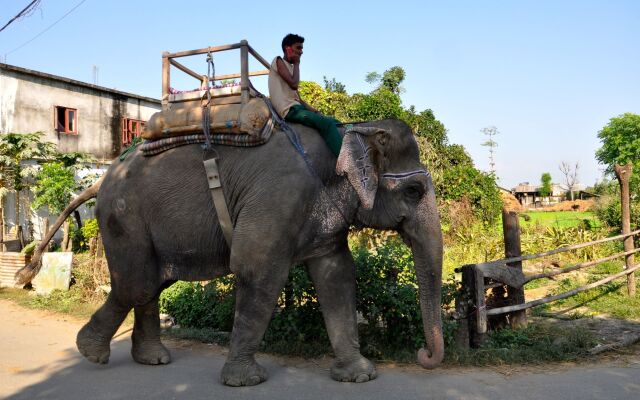 Chitwan Safari Camp & Lodge