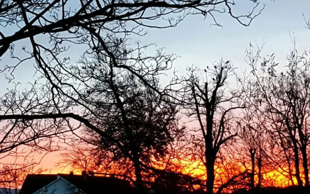 Ferienwohnung Preiss