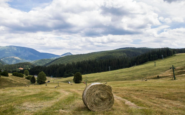 MJ Apartments Panorama