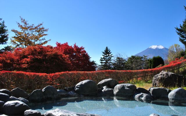 Hotel Mt. Fuji