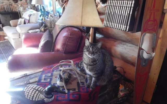 Idle Spurs Bed & Breakfast