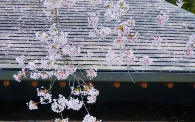 Oukai Villa Izumi