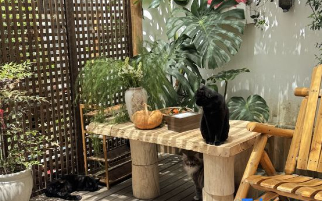 Stay With The Love In Dali Homestay – Outside – Dali