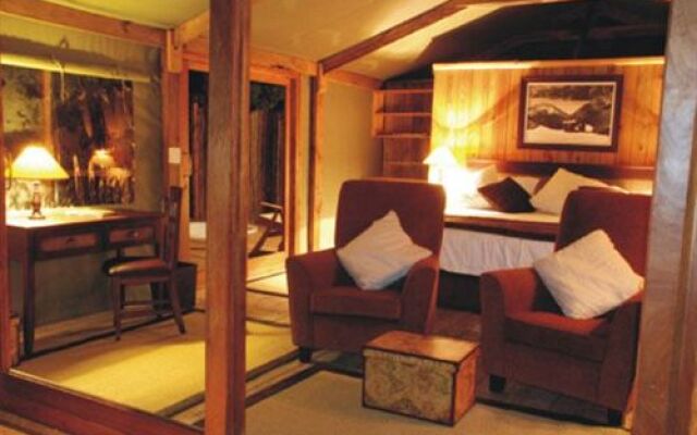 Addo Elephant Back Safaris and Lodge