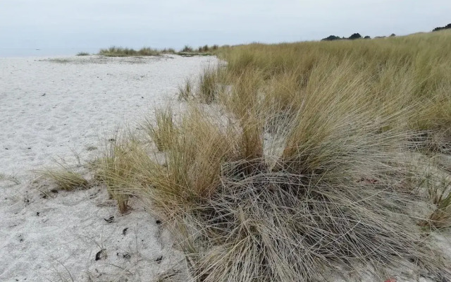 Les Roches Du Cabellou 150 m De La Mer