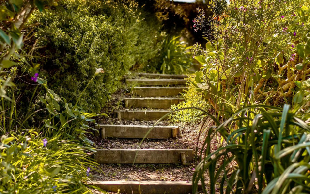 The Dongola Guesthouse