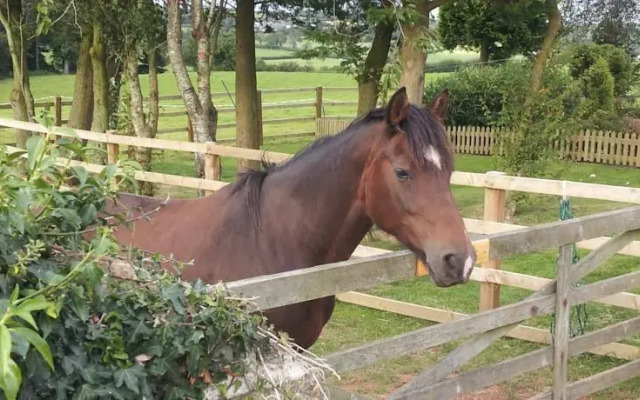 Parsonage Farm Bed & Breakfast