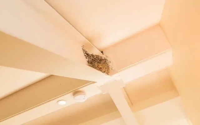 De Heerlijkheid van Krombeke "Casa Sophia"