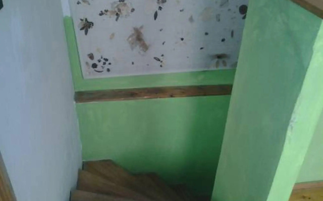 Amiga Hostel